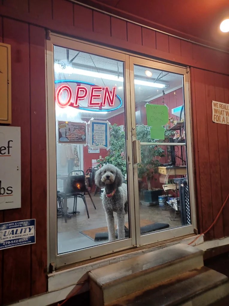 Grey poodle standing at the open glass front door of the restaurant under a neon OPEN sign